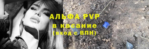 сатива Алексин